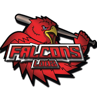logo Falcons Łódź