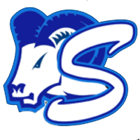 logo Silesia Rybnik
